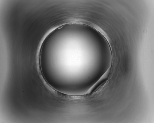 X0000099931152200805231225