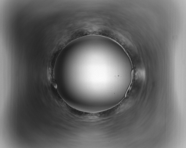 X0000099931156200805231224