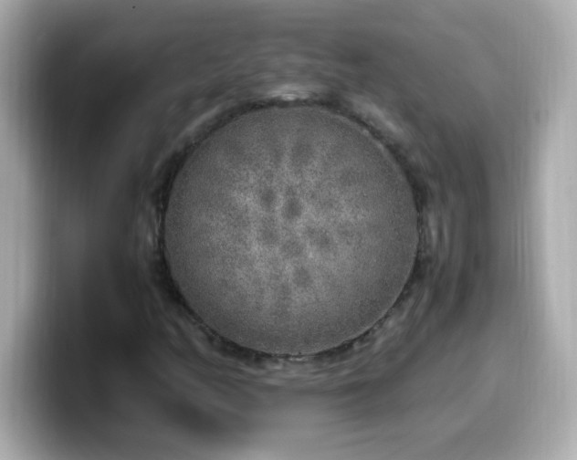X0000099931158200805231224