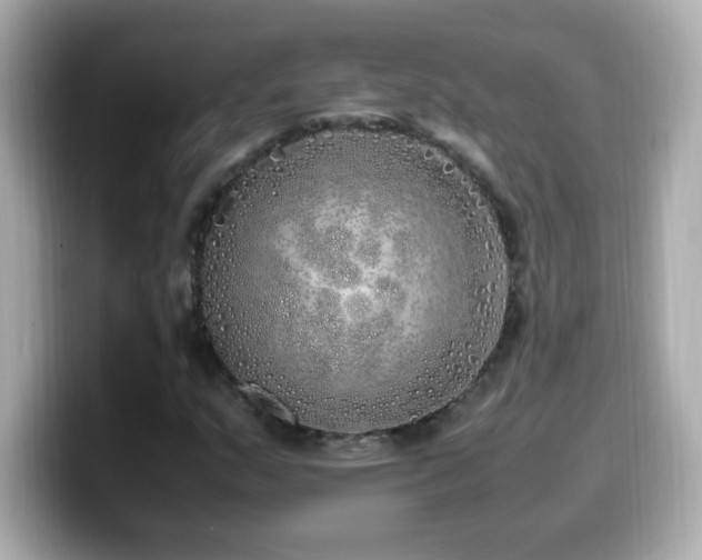 X0000099931159200805231224