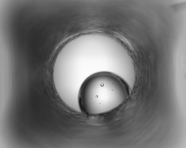 X0000099931160200805231224
