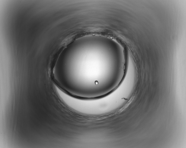 X0000099931161200805231224