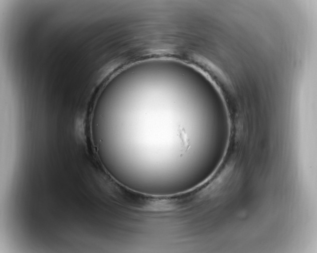 X0000099931162200805231224