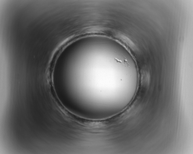 X0000099931164200805231224