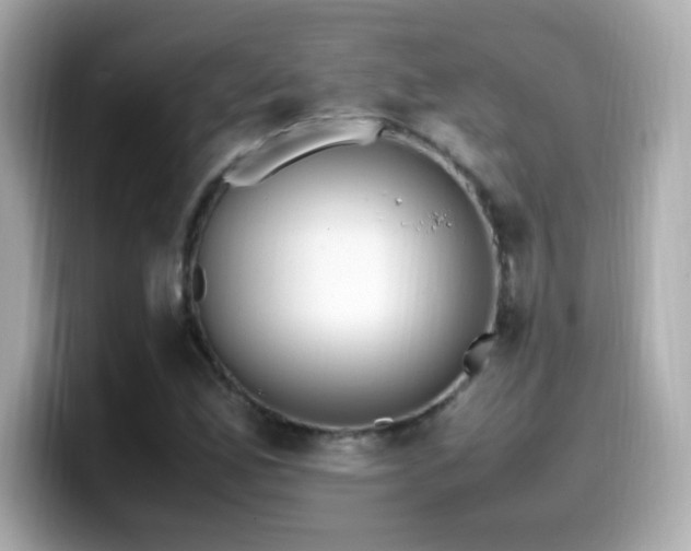 X0000099931165200805231224