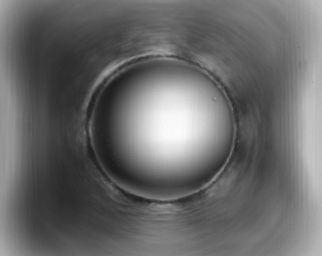 X0000099931168200805231224