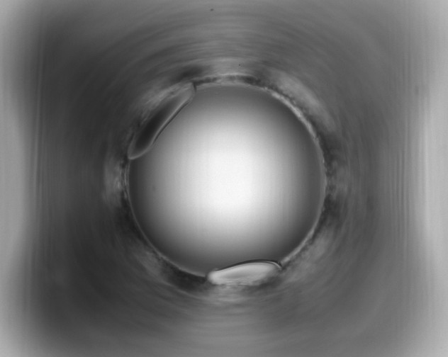 X0000099931169200805231224