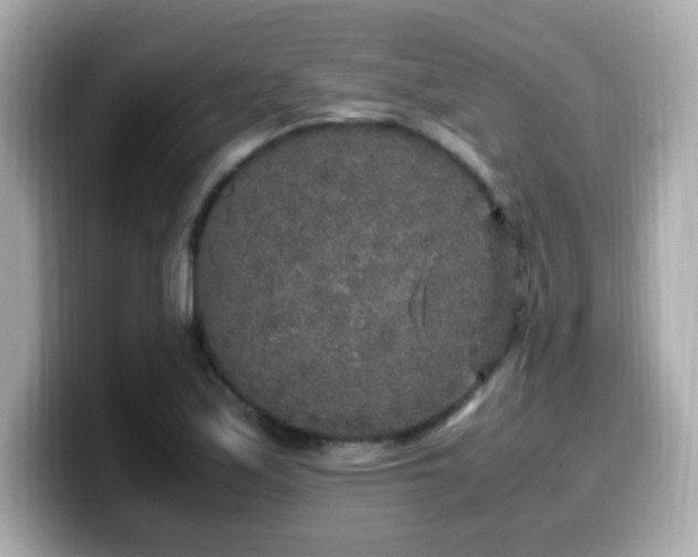 X0000099931171200805231224