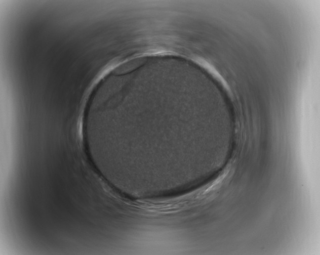 X0000099931173200805231224