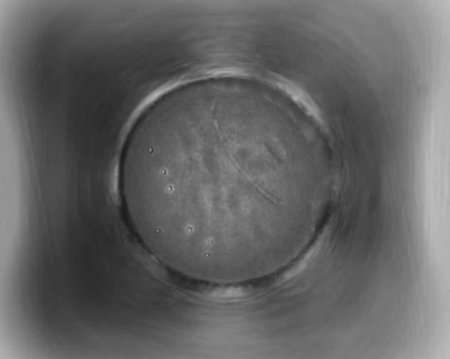 X0000099931174200805231224