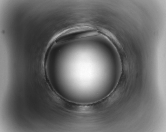 X0000099931176200805231224