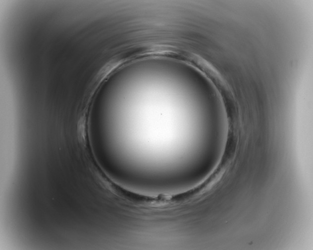 X0000099931177200805231224
