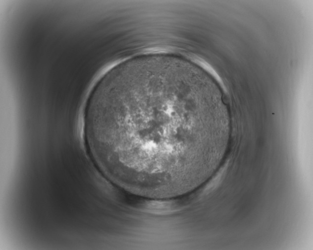 X0000099931179200805231224