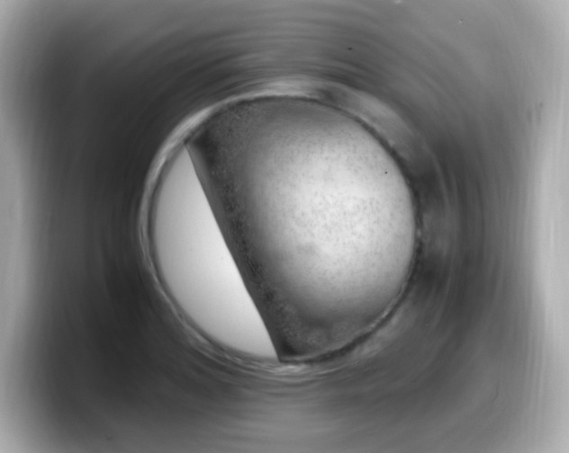 X0000099931180200805231224