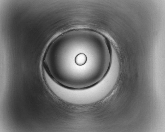 X0000099931181200805231224
