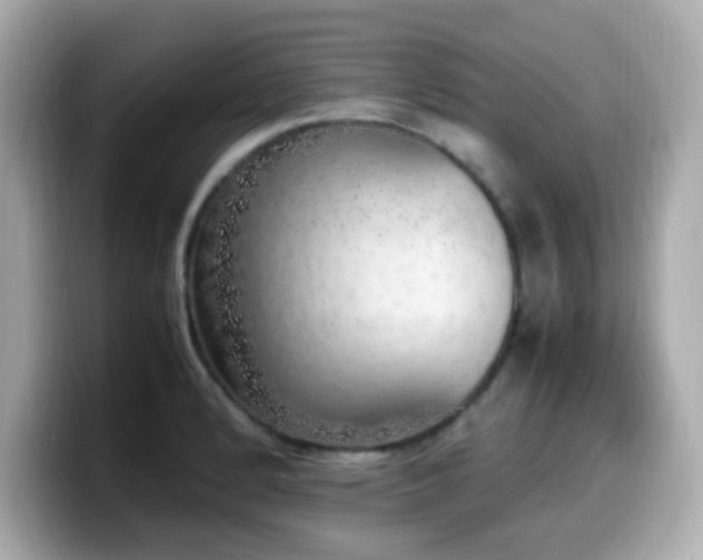 X0000099931184200805231224