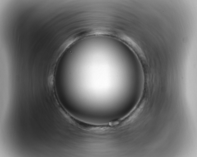 X0000099931185200805231224