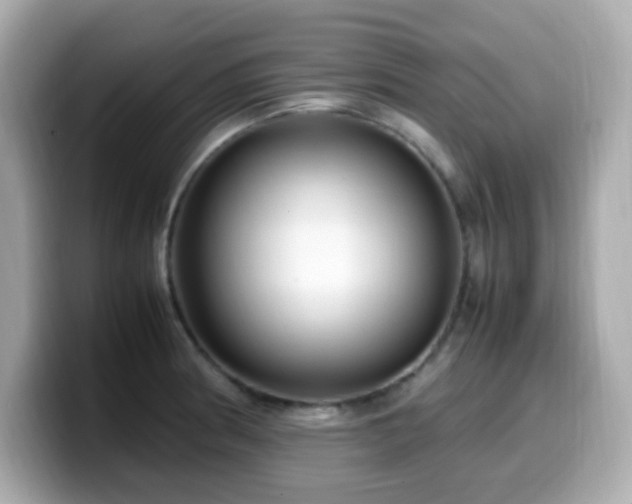 X0000099931186200805231224