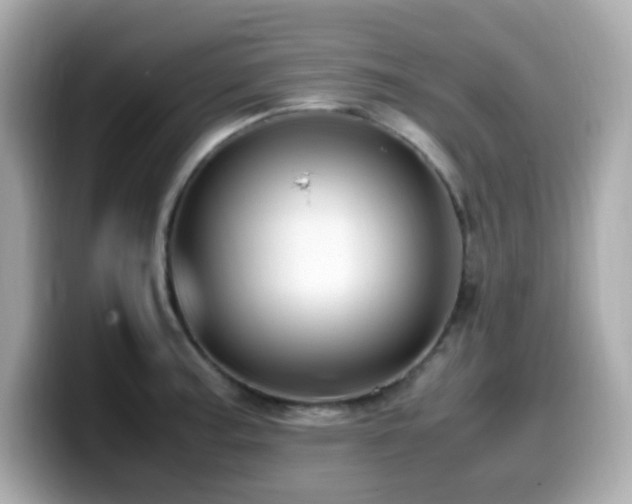 X0000099931187200805231224