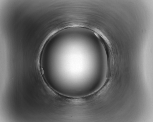 X0000099931189200805231224