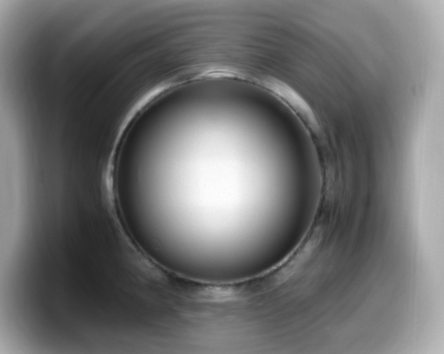 X0000099931190200805231224