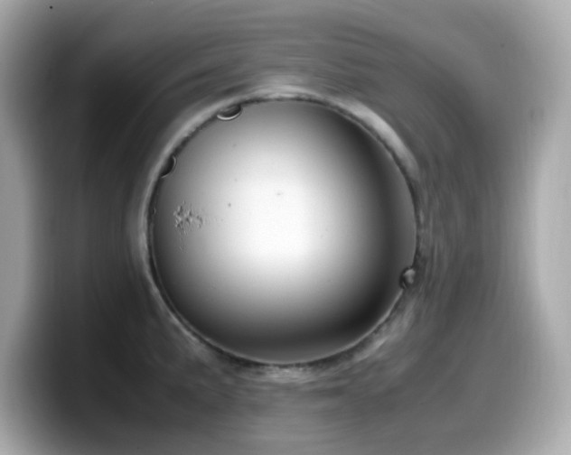 X0000099931191200805231224