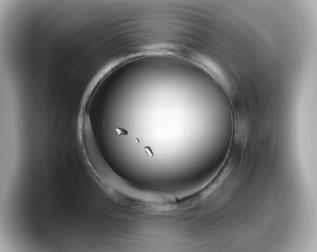 X0000099931196200805231223