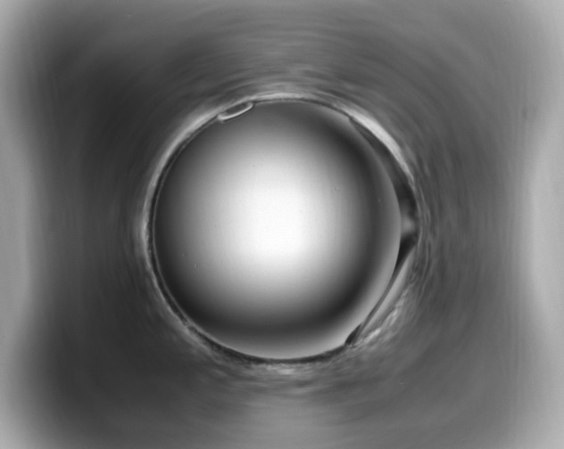 X0000099931197200805231223