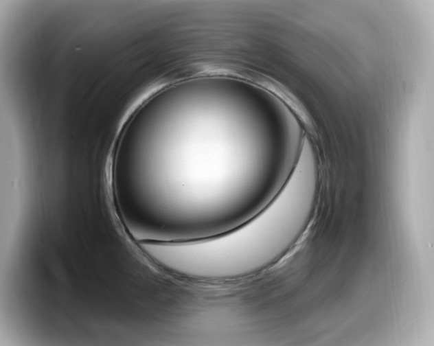 X0000099931198200805231223