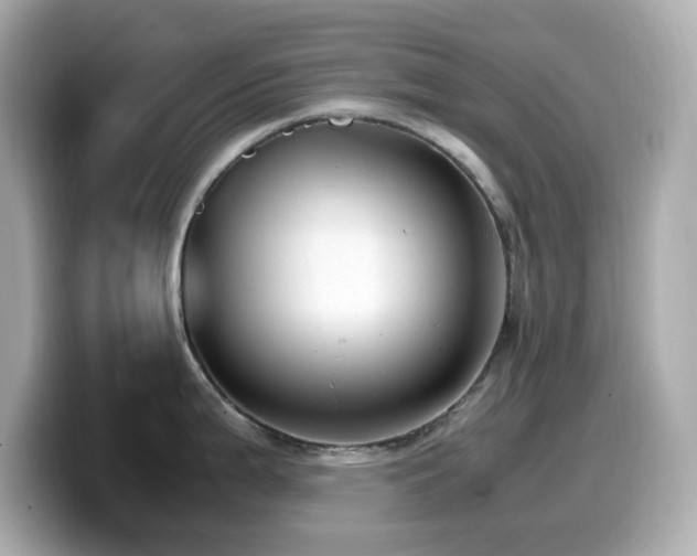 X0000099931199200805231223