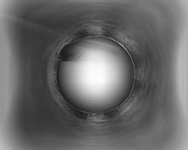 X0000099931201200805231223