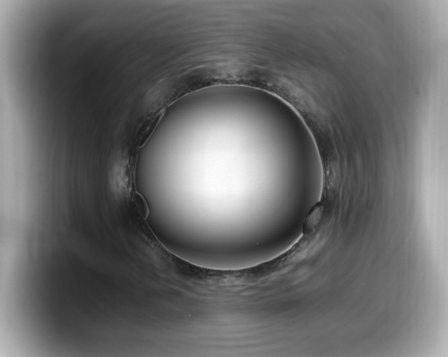 X0000099931202200805231223