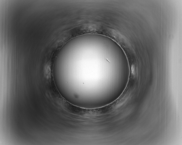 X0000099931203200805231223
