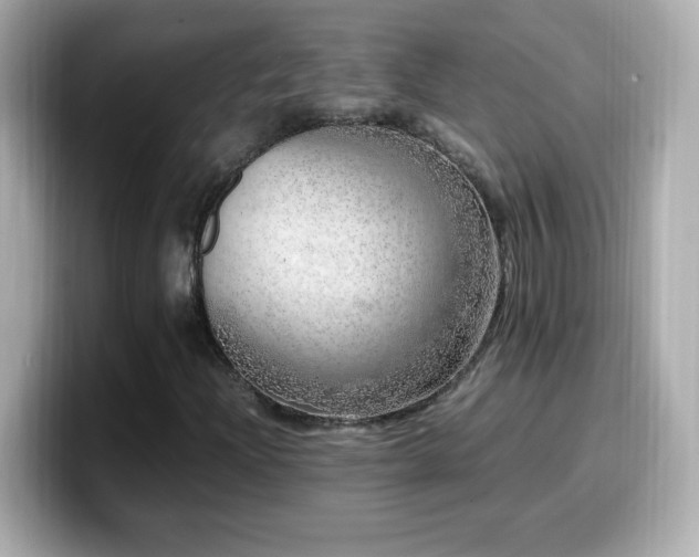 X0000099931204200805231223