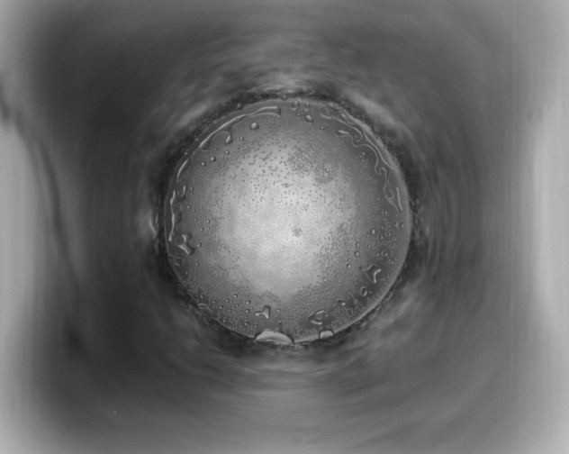 X0000099931206200805231223