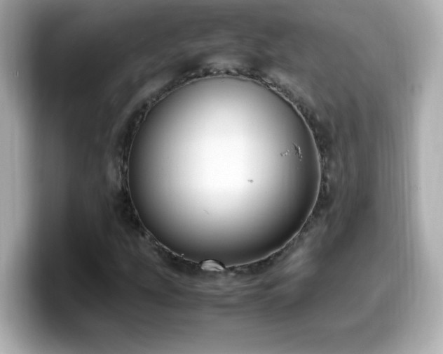 X0000099931207200805231223