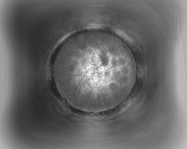 X0000099931208200805231223