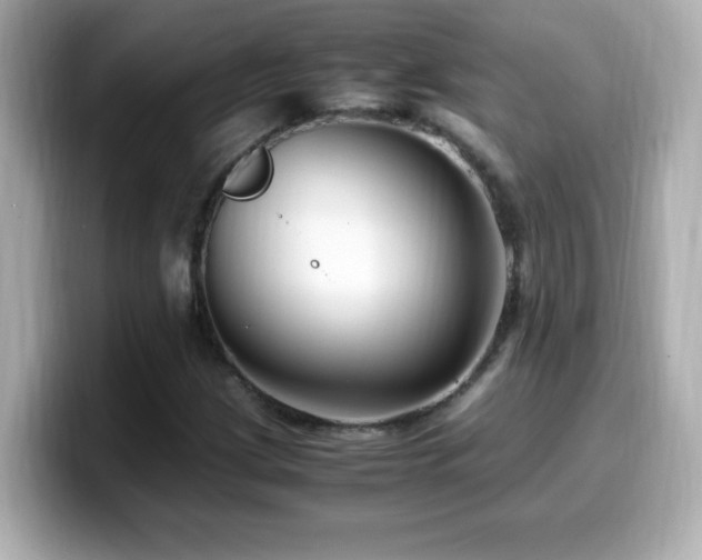 X0000099931209200805231223