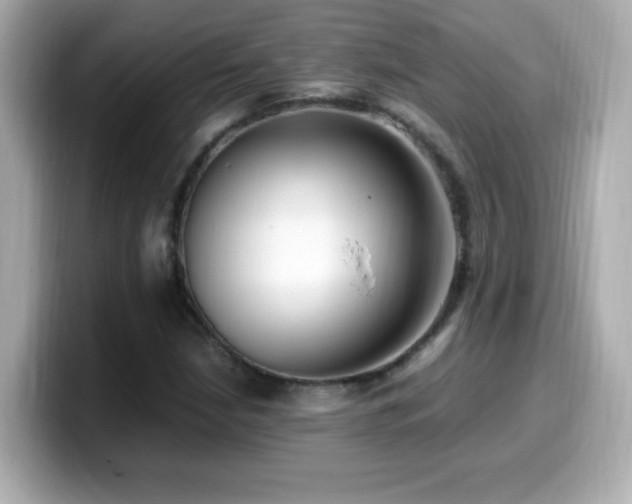 X0000099931210200805231223