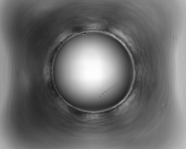 X0000099931211200805231223