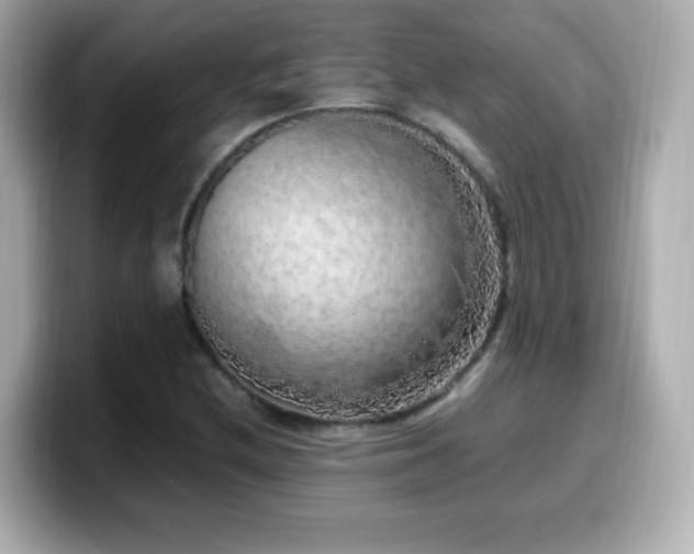 X0000099931212200805231223