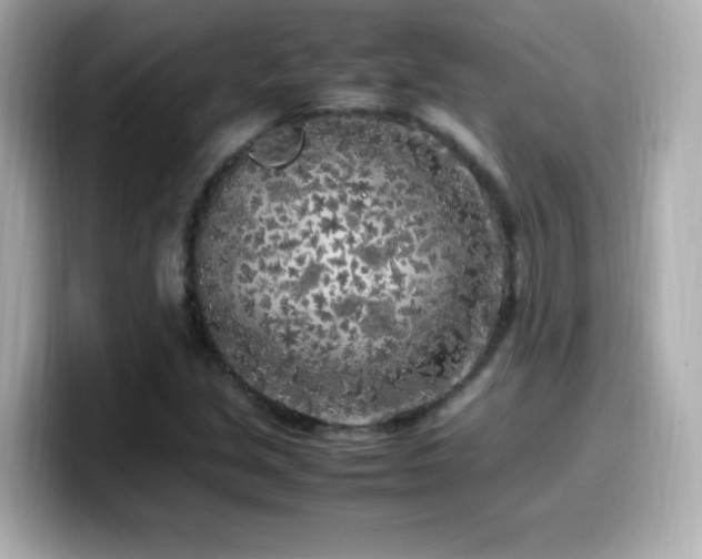 X0000099931213200805231223