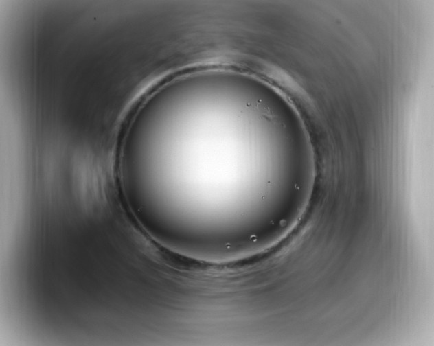 X0000099931216200805231223