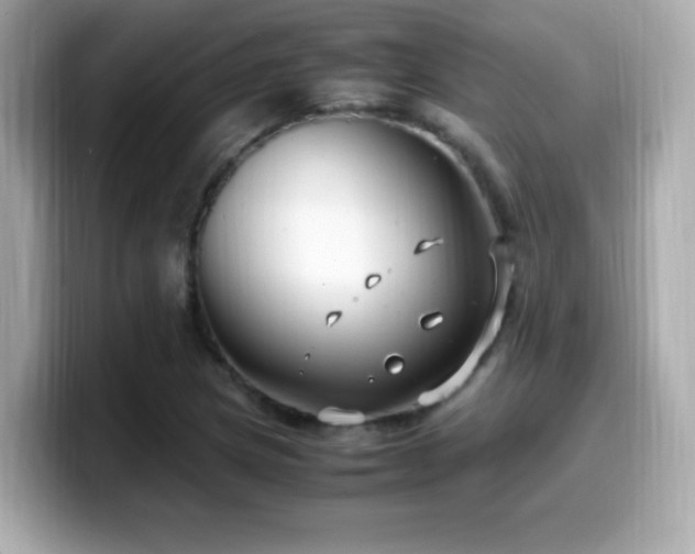 X0000099931217200805231223
