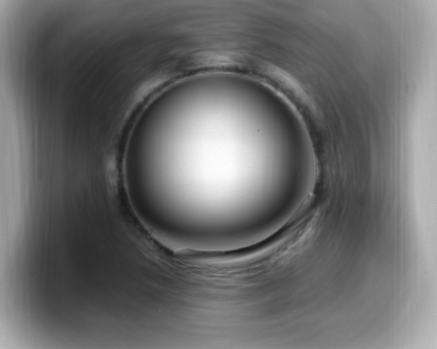 X0000099931218200805231223