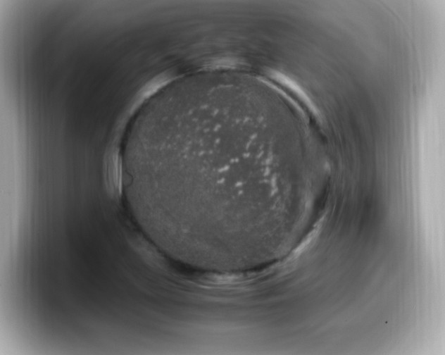 X0000099931219200805231223