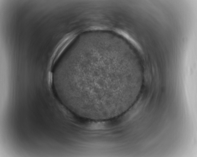 X0000099931221200805231223