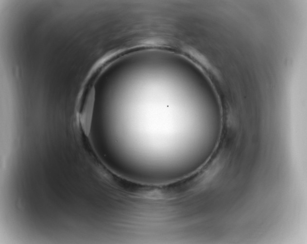 X0000099931222200805231223