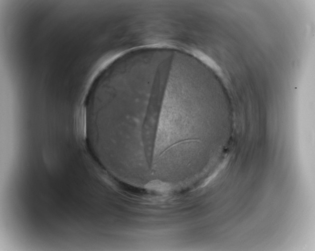 X0000099931223200805231223