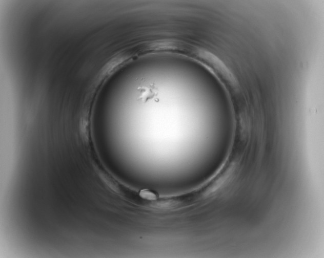 X0000099931225200805231223